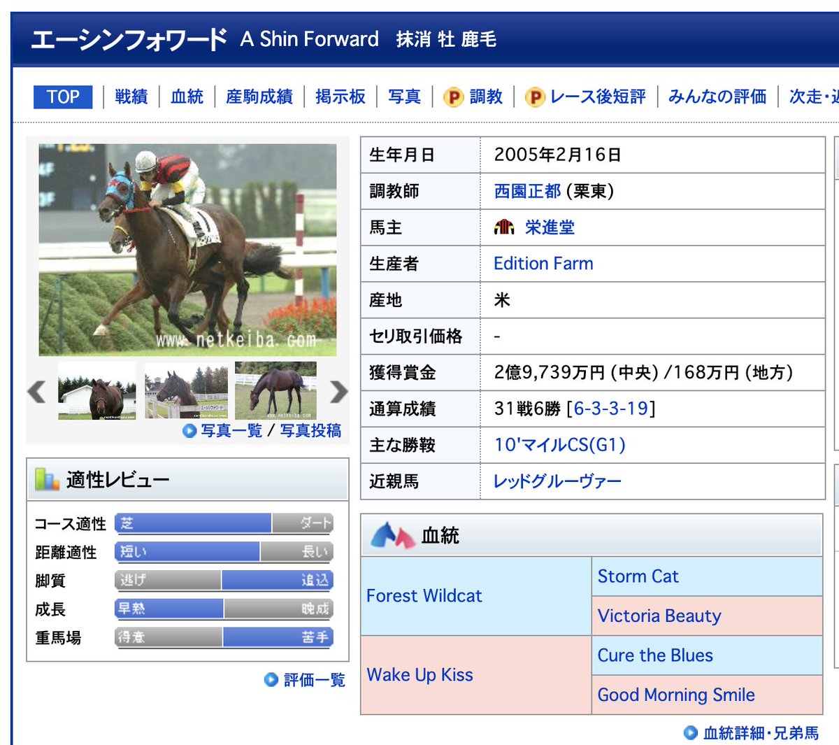 エイシンヒカリ……A Shin Hikari エイシンフラッシュ……Eishin Flash
