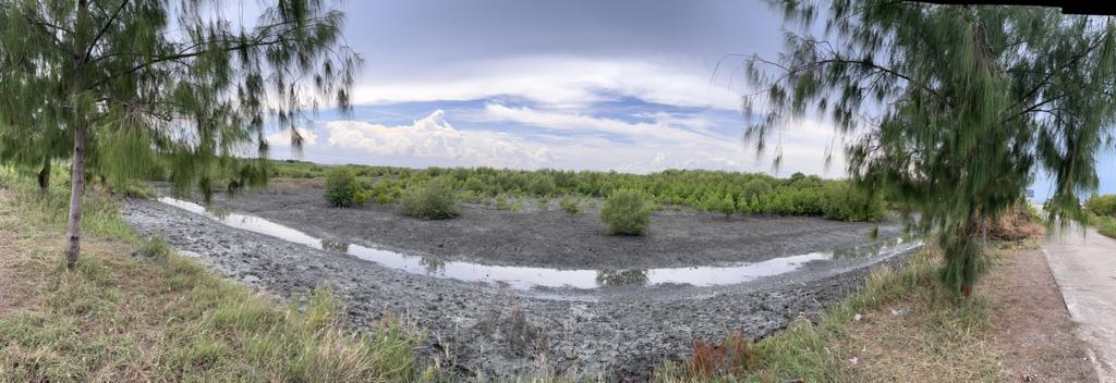SabharwalGita's tweet photo. @UNBiodiversity @UNDPThailand @BirdLife_Asia @BCSThailand @orientbirdclub @petch_manopawit @ReReef1 @UNThailand @UN_SDG @TEIThailand #Biodiversity hotspots & habitats will prosper only thru stronger partnerships btwn govt, business & communities that lead to new protected areas & private nature reserves like #PakThale. This is one solution in conserving species that can have huge impacts #ForNature. https://t.co/HuEADjhSVJ