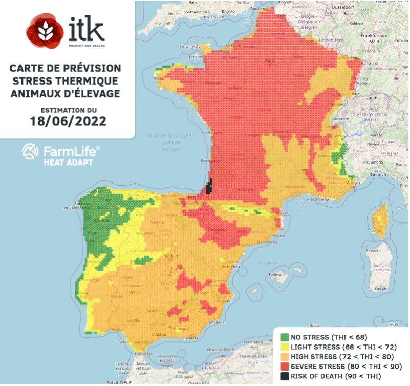 ITK_decide's tweet image. [ALERTE ELEVAGE] Nouvelles cartes de risques dus à la canicule sur les bovins.
Samedi, la situation se dégrade et dans le sud-ouest, on voit apparaître un indice de stress thermique + de 90. 
En conséquence, le risque mortel pour les vaches est à prévoir.

#canicule #Thread 1/4