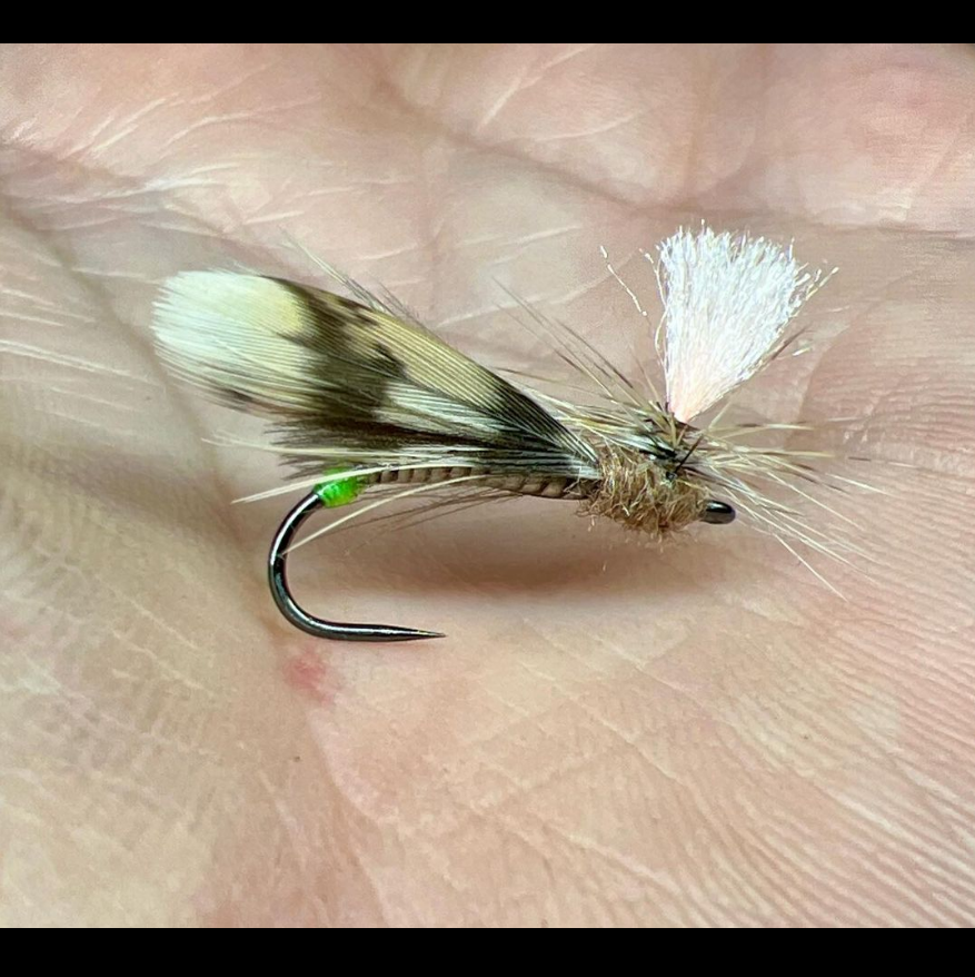 Whiting Farms tweet media