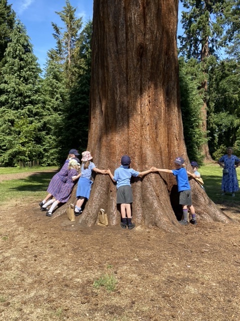 OPS_OratoryPrep's tweet image. Year 1 are having a wonderful time in the sunshine at the Harcourt Arboretum. They have been learning about trees from all over the world and making natural art.

#OPSTrips #OPSLearning #Year1