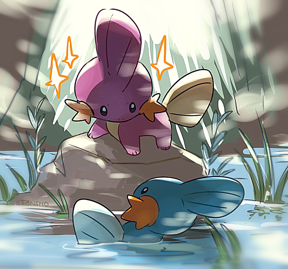 mudkip pokemon (creature) no humans water sparkle looking down outdoors rock  illustration images