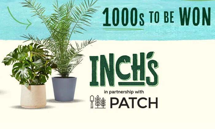 offeroasis's tweet photo. โญ๏ธ Free Patch Plants for your home
Follow, Retweet, Comment or Like if you want one. โฌ๏ธ
Then click the link below.
๐ฅ๐ฅ Get this NOW! ๐ https://t.co/hDgy3af7vJ
All updates today ๐ https://t.co/Cyuy5cyY52
#freebies #freestuff #freesamples #competitions #PatchPlants #Cider https://t.co/ThKyJ5v45r