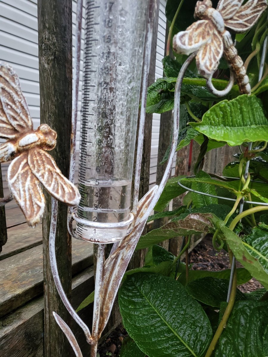 Got this in an hour on the Bruce Peninsula... Stopped for a break and back at it again, just not as fierce this time.