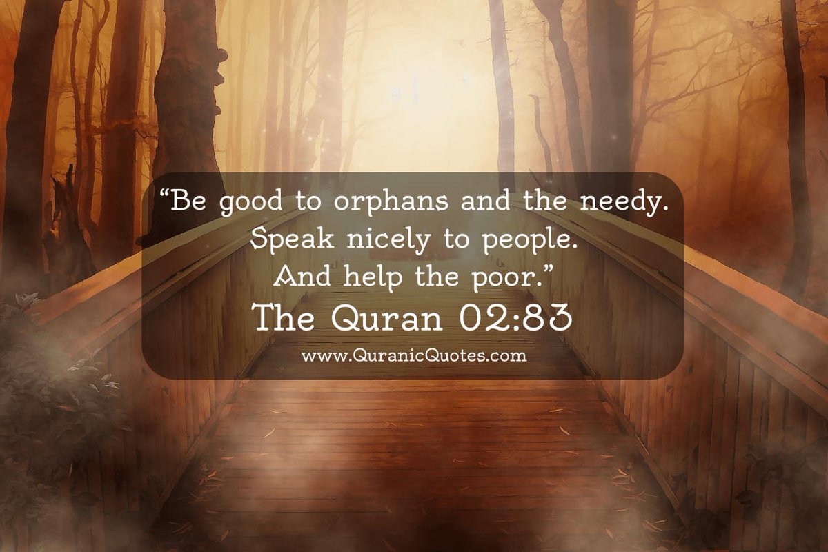 let_orphans's tweet photo. https://t.co/meaz7Rz14U