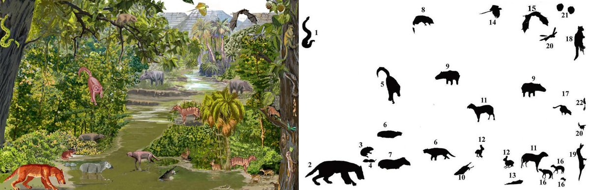 AsiaPaleofloras's tweet photo. 📝 An #Eocene #Greenhouse Forested #India: Were Biotic #Radiations Triggered by Early #Palaeogene #Thermal Events?
🔗 https://t.co/ybrd97Onz8 https://t.co/L5ojkluKhP