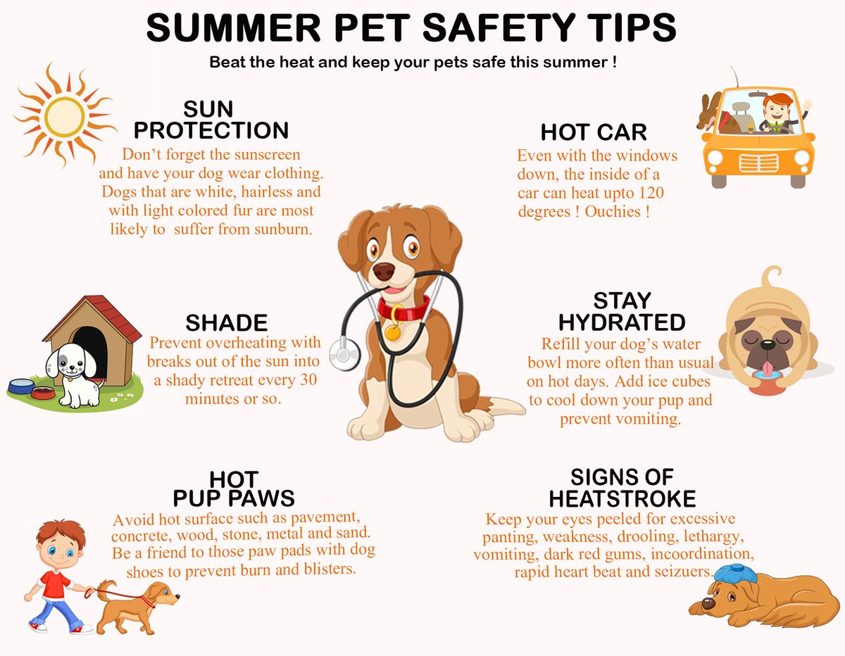humane_solution's tweet image. Y'all, it's hot! Here are a few tips on keeping your fuzzy friend safe and comfortable during high heat. If it's too hot for you it's too hot for them!