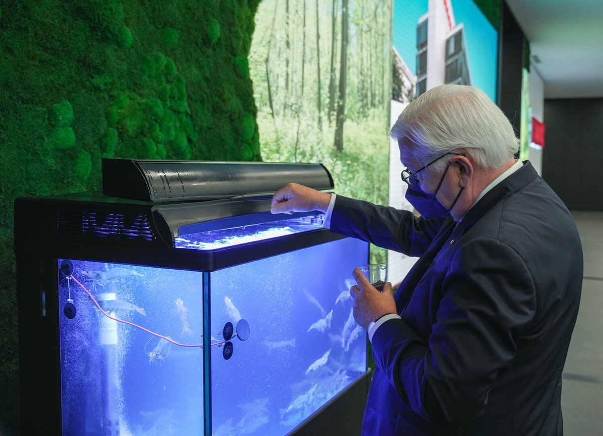 🇸🇬 German President #Steinmeier visited Bosch in #Singapore: Martin Hayes, president of Bosch in Southeast Asia, gave insights into local activities, such as the #sustainable shrimp farming 🦐 of the #grow start-up #AquaEasy 👉 bit.ly/3mPUhh2