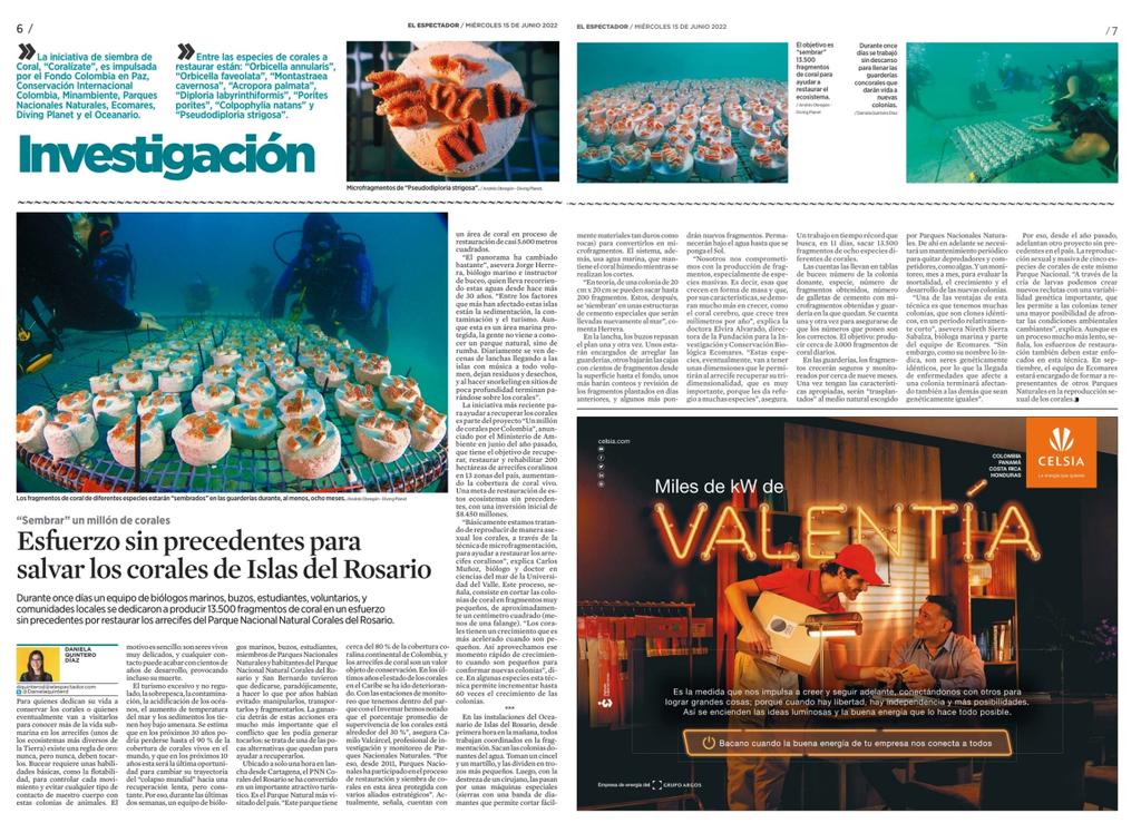 ¡Estamos cultivando #UnMillónDeCorales! 

Durante dos semanas, en cuatro departamentos y con grandes aliados, nos pusimos la meta de cultivar 100mil fragmentos y la superamos con 115 mil. 

Con esto sumamos 291 mil corales cultivados en el programa.

<a href="/CIColombia/">Conservación Internacional 🇨🇴</a> <a href="/coralesdepaz/">Corales de Paz</a>