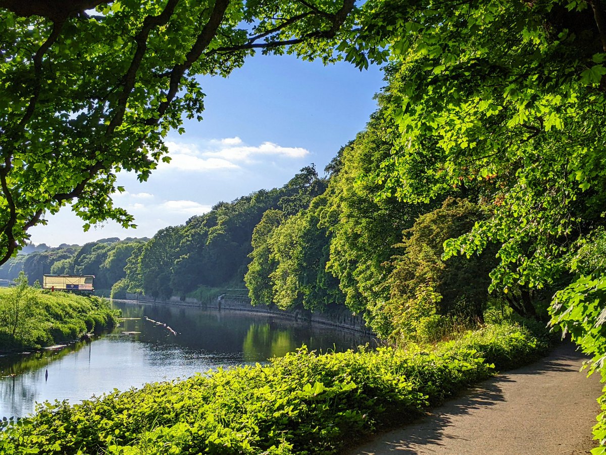 Erkan Gün tweet media
