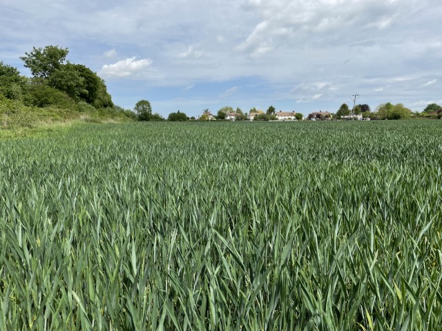 WeldonBeesly's tweet photo. Land for Sale - 40 acres, Great Hormead. In 2 lots - one of which backs onto dwellings, so has some good investment value. More details - https://t.co/SPpD76dCWS https://t.co/0GmbdXnSZe