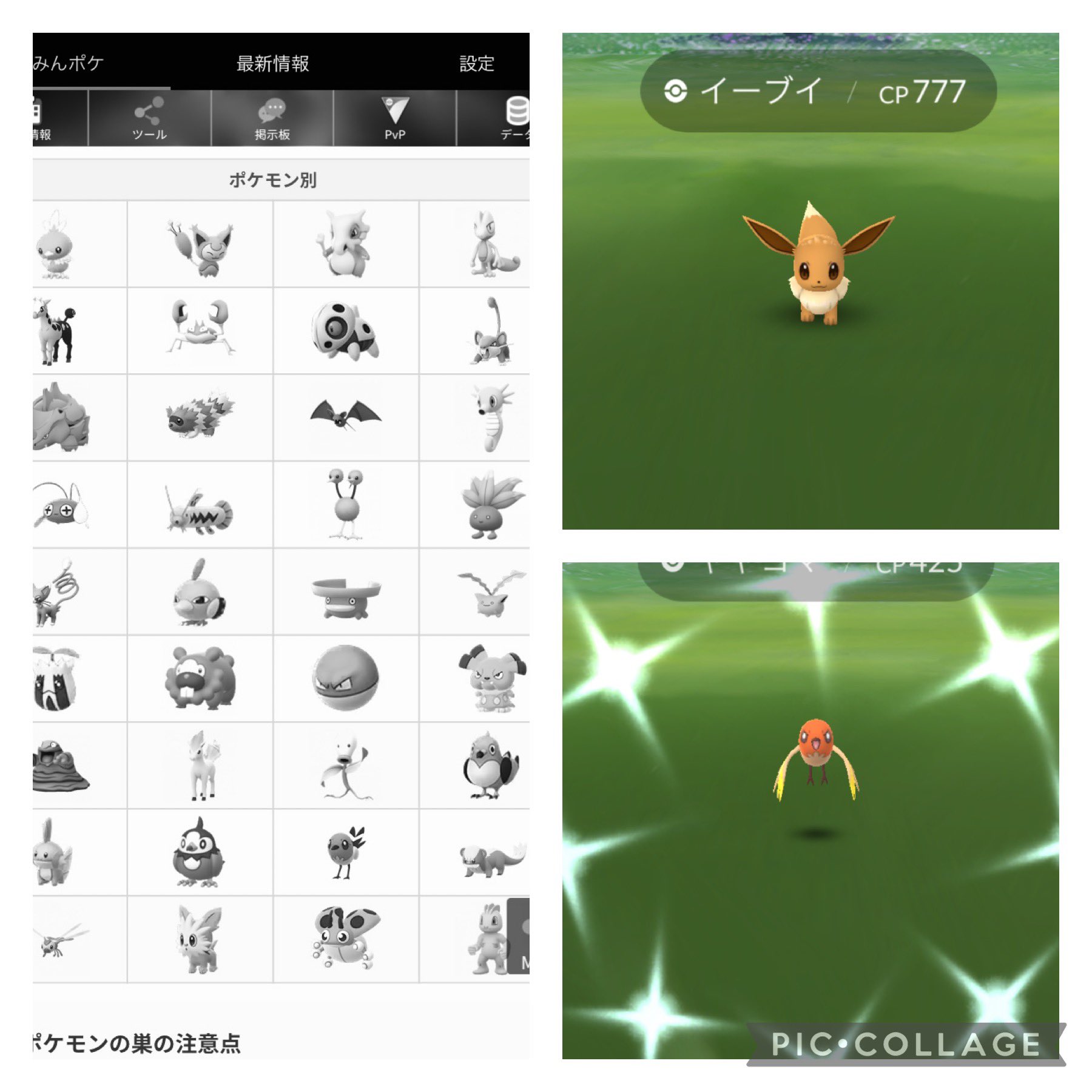 Makoviiii 今日は休みで朝掃除してたらスリーセブンイーブイ7 7 7 なんとなく嬉しい 休みだしイーブイの 巣無いかなあと 調べたら今は巣の対象ポケモンになってないと言う悲劇 休みをどうやって過ごせと言うの 笑 ヤヤコマさん色違い Makoviiii 今日は休みで朝掃除してたらスリーセブンイーブイ7 7 7 なんとなく嬉しい 休みだしイーブイの 巣無いかなあと 調べたら今は巣の対象ポケモンになってないと言う悲劇 休みをどうやって過ごせと言うの 笑 ヤヤコマさん色違い