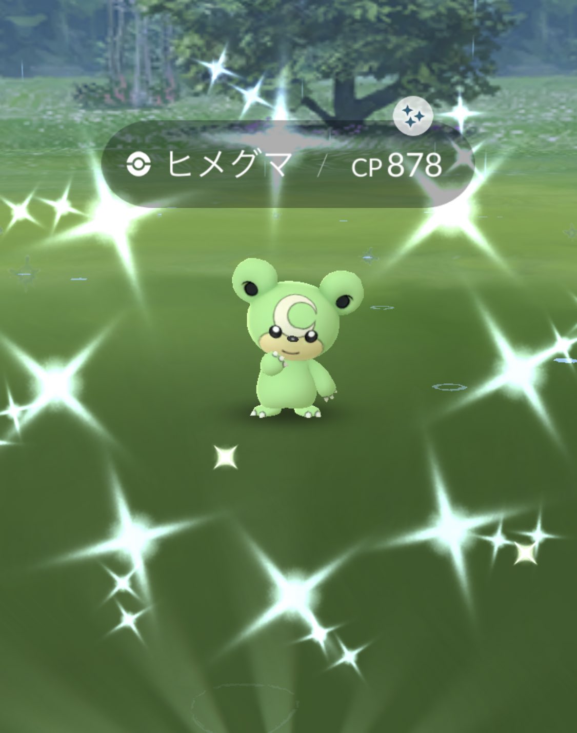 はち ポケモンgo 寝起き朝一でヒメグマ色違いからのレイドアワーでグラードン ラッキーラッキー いぇい W ポケモンgo T Co Vb923mpgig Twitter はち ポケモンgo 寝起き朝一でヒメグマ色違いからのレイドアワーでグラードン ラッキーラッキー いぇい W ポケモンgo T Co Vb923mpgig Twitter