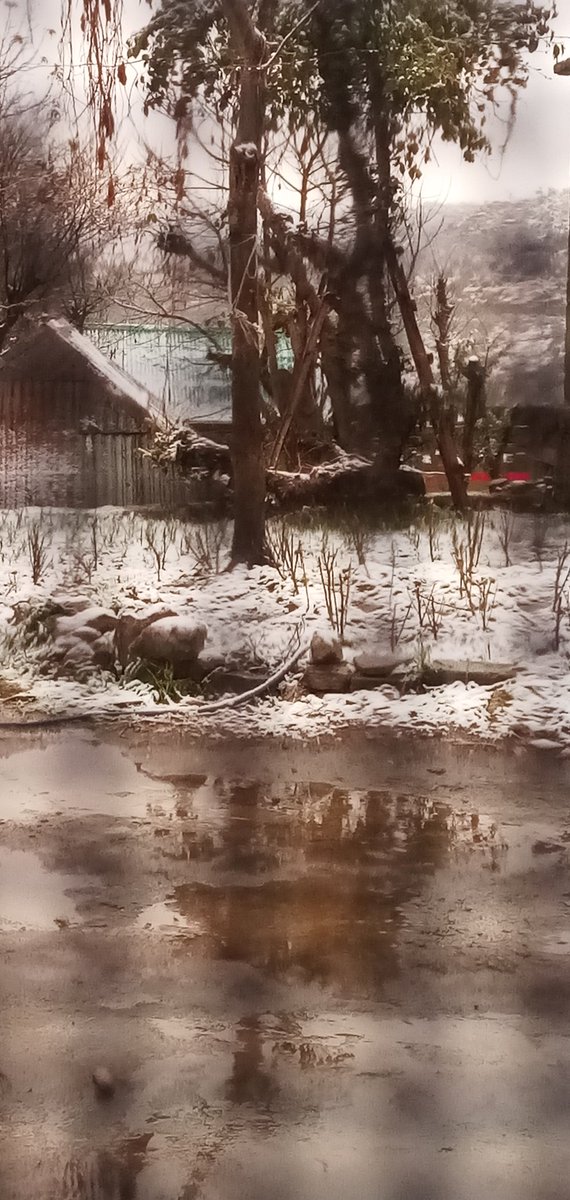 InduSha40069050's tweet photo. Snowfall 
#Snowfall #snow #Snowdrop https://t.co/8XkX3lMwjy