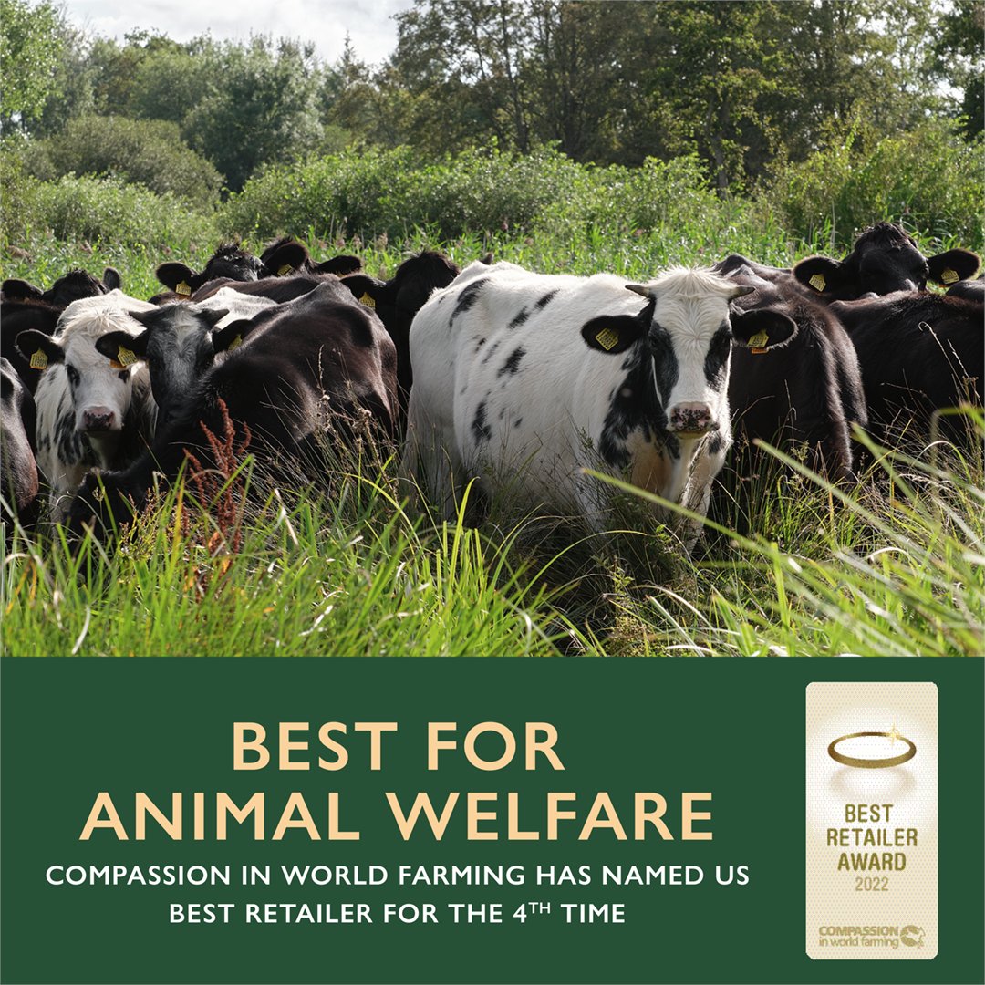 waitrose's tweet photo. Moo-ve over, Tony awards! Waitrose has been named Best Retailer for farm animal welfare by @ciwfโฆ And our groundbreaking animal welfare app with @SRUC won Best Retailer Innovation Award! ๐๐ #CompassionInWorldFarming #AnimalWelfare https://t.co/HWbedjsu50