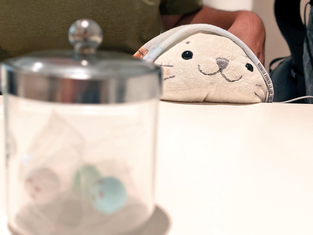 kopi_rabbit's tweet photo. ケーキ屋さんに来たきゅ🍰

#sirotan
#しろたん
#ケーキしろたん https://t.co/eUUEUXIhwT