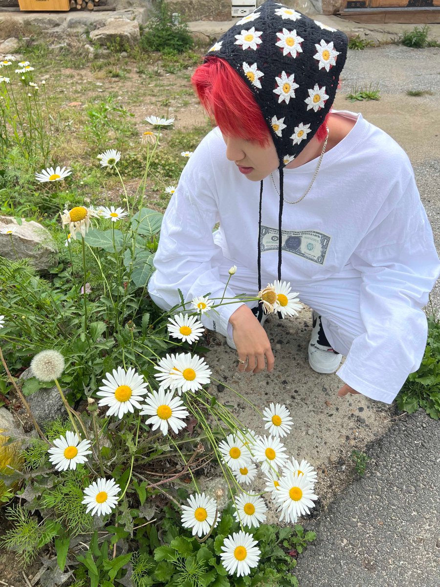 SEVENTEEN tweet media
