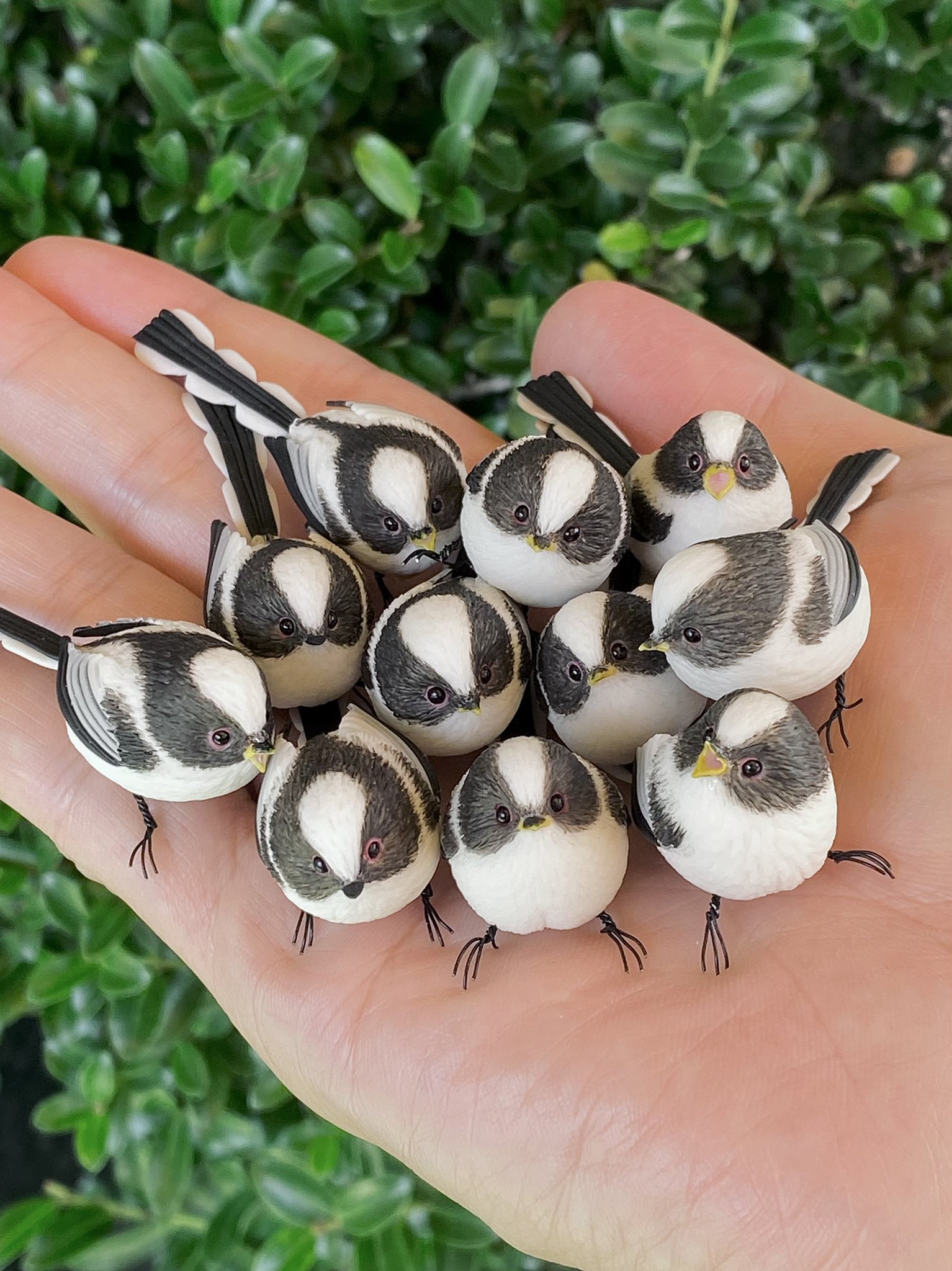 円満♡仲良しシマエナガ 円満♡仲良しシマエナガ