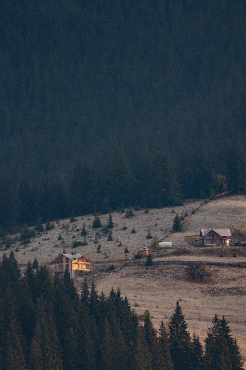 krutovig's tweet photo. Hey Twi. 

Since Instagram is dying, I’m also starting my page. Here will be a lot of interesting travel stories and of course my photo works. 

For the start — one of my favourite photo series: a perfect autumn week in Carpathian mountains. 

#carpathians #mountains #fall https://t.co/1iyUETziL1