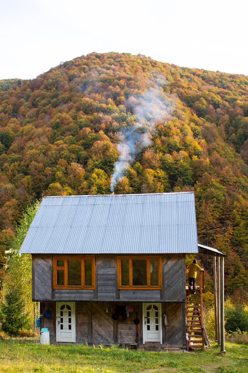 krutovig's tweet photo. Hey Twi. 

Since Instagram is dying, I’m also starting my page. Here will be a lot of interesting travel stories and of course my photo works. 

For the start — one of my favourite photo series: a perfect autumn week in Carpathian mountains. 

#carpathians #mountains #fall https://t.co/1iyUETziL1