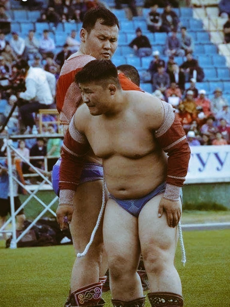 Аавынхаа дутууг хүү нь гүйцээдэг 
Азарганыхаа хүрээгүйд унага нь хүрдэг гэдэг шиг
Ахынхаа аваагүй цолыг дүү нь авах нь сайхан биш гэж үү ...

Монгол улсын харцага Э.Энх-Амгалан хэмээн дуудуулах болтугай !