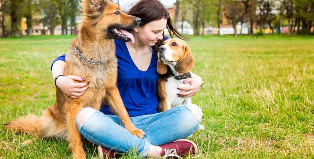 LandlordZONE's tweet image. BREAKING: Government to give tenants ‘legal right’ to have a pet in their home. see our story:  bit.ly/3zELGpk