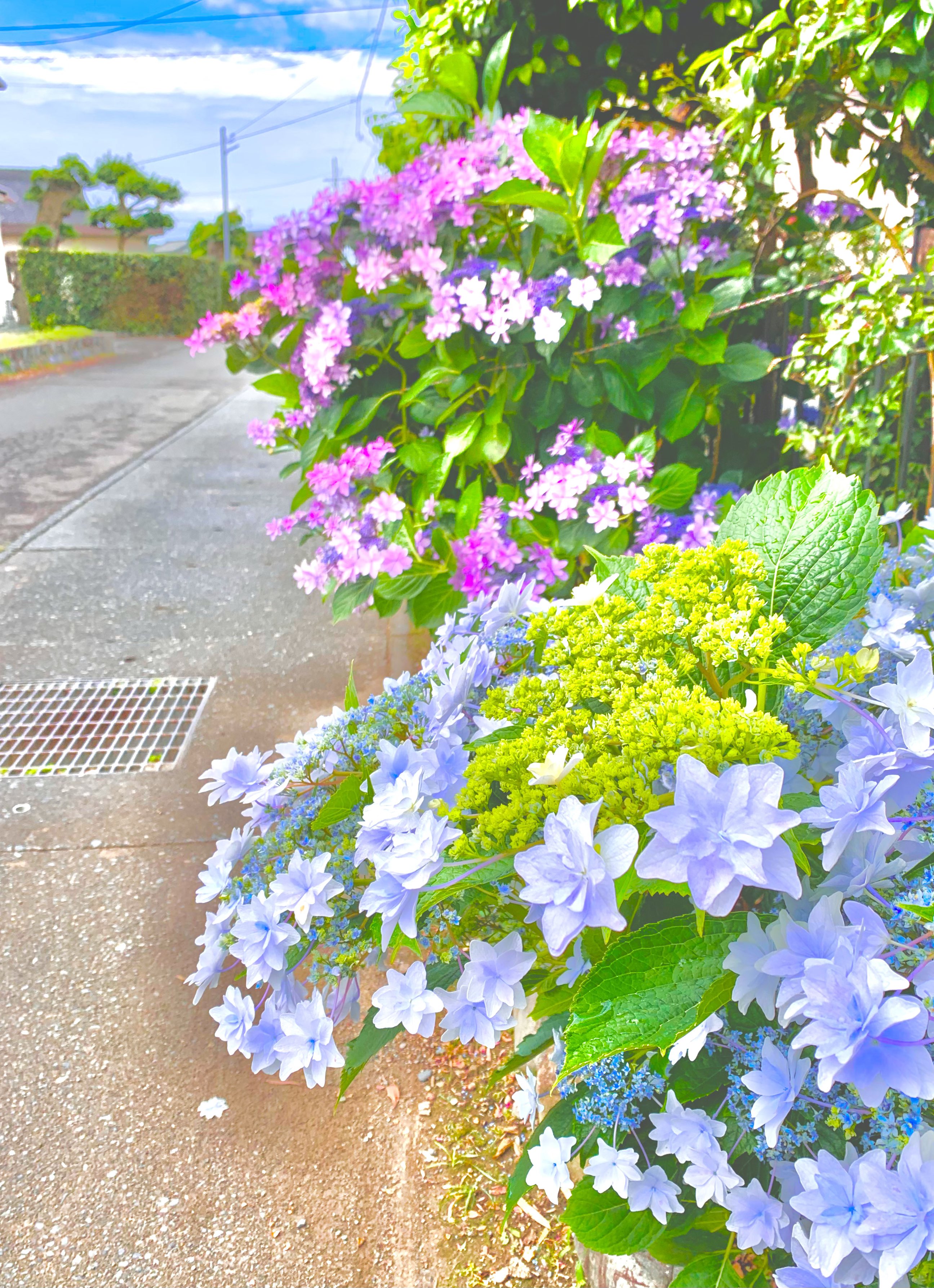 垣根 Twitter Search Twitter
