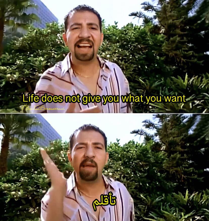 egymeme11's tweet photo. https://t.co/YYxwieQyfs