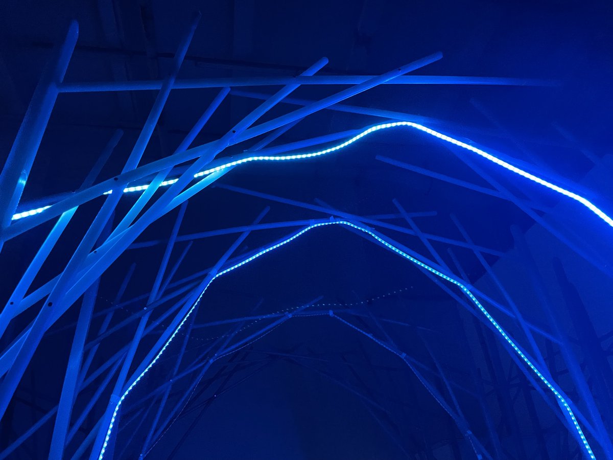 Dark Euphoria tweet media