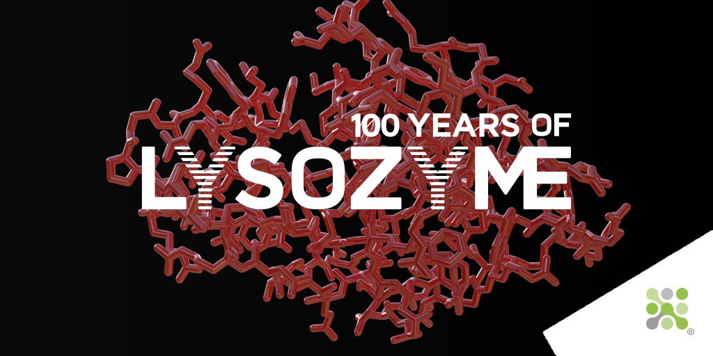 This week we’ve solved the structure of #Lysozyme, and 3D printed our results. We compare the results of painstaking X-Ray #crystallography with that of the #DeepMind #AlphaFold predicted structure. Find out how it performed here: bit.ly/39q2XaR