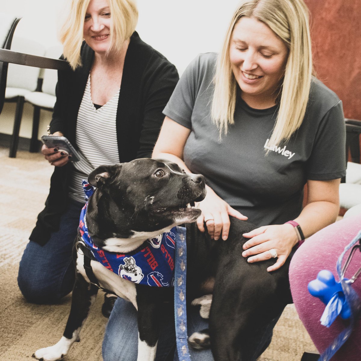 Talented team...✅ 
Remote work flexibility...✅
Top 50 National Insurance Broker...✅
Lunchtime Visits from Rescue Dogs...✅

What else do we need at Lawley? The answer is...you! ✅✅✅

Apply to day to envision your new career with Lawley.

 ow.ly/x4er50JvaxB