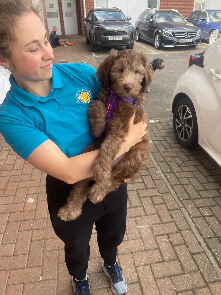 Basepoint_Wlvil's tweet photo. Our lovely Licensees, Crossfit, have a new puppy named Fern!! The cutest newest addition to our Basepoint family.

Why not bring your dog along to a Day Office, or for a tour of our space?

Get in touch to find out more; waterlooville@basepoint.co.uk

#dogfriendly https://t.co/y3WCbTnlil