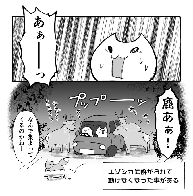 昔、夜道を走ってたら道路の真ん中でこうなった🦌🦊 
