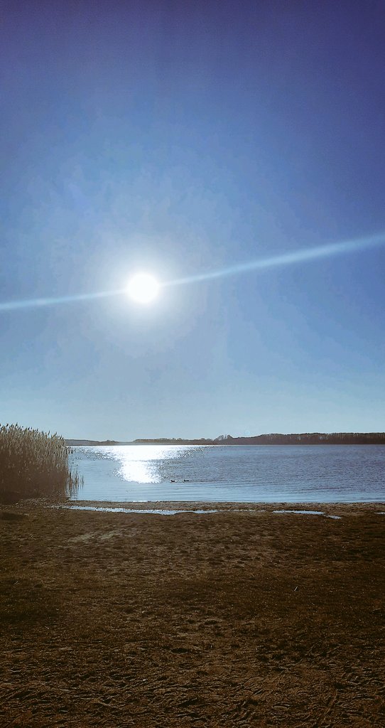 Einfach mal den Kopf frei bekommen