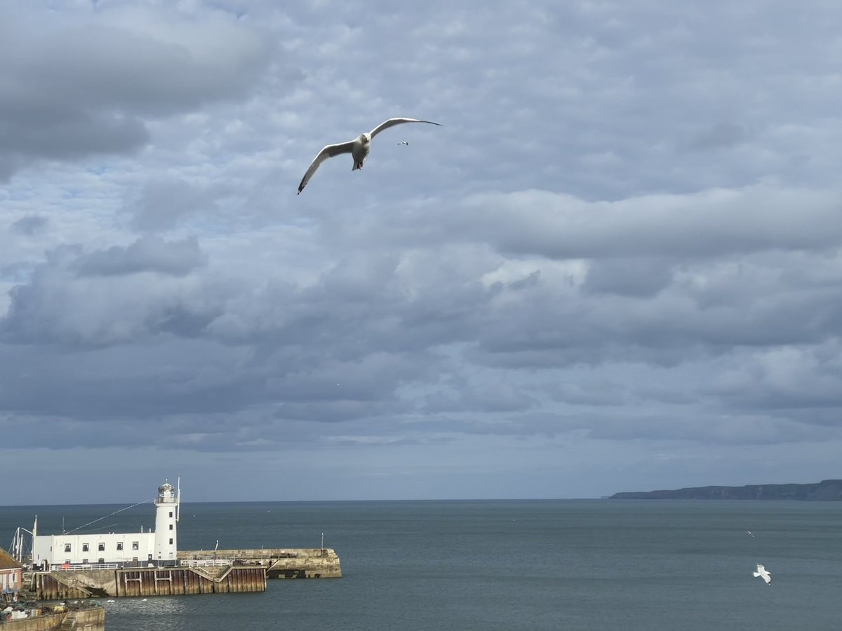 occursus1's tweet photo. #MissingTheSea
#Scarborough https://t.co/0yHmiusIh4