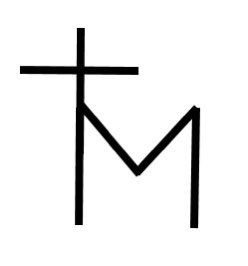 Tim Matthews tweet media