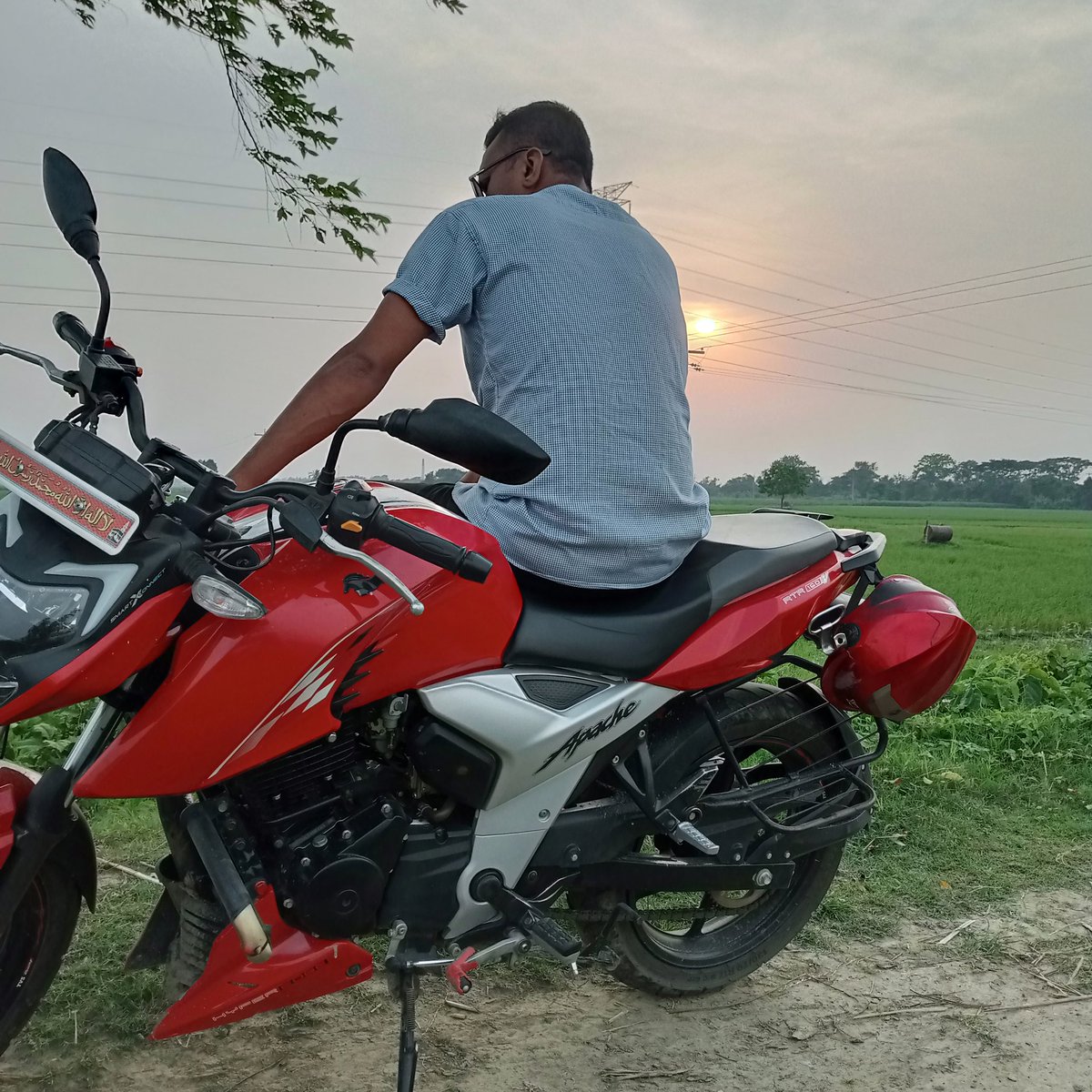 পরন্ত বিকেলে