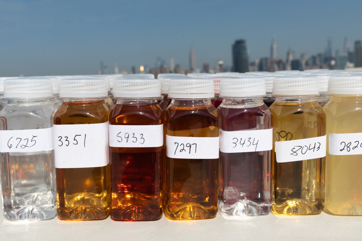 Gearing up for our summer competition series! Submissions for our #Melbourne competitions are OPEN and the submissions have been rolling in. Be sure to submit your beer, wine, or spirit ASAP to get in on the action! #intlbevcomp #beer #wine #spirits