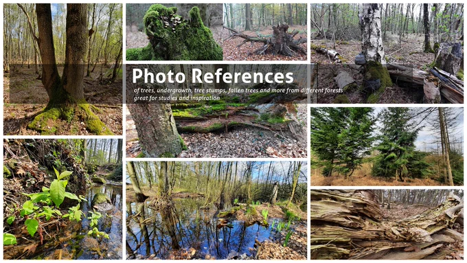 A great way to get better at nature art:

- get my Nature Reference Pack at GUMROAD
- use a picture and analyze shapes, contrasts, colors 
  and light
- simplify what you see
- repeat!! 