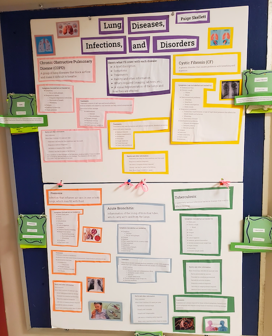 DebClapp1's tweet photo. Another amazing A&amp;P end of year project!  
Paige delved into 5 lung diseases complete with  symptoms, causes, treatments and 3D models!  #StudentAgency #Creative #Ownership https://t.co/VPsbGY0QTr