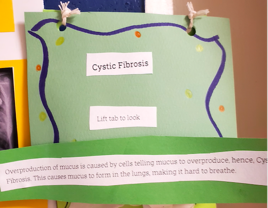 DebClapp1's tweet photo. Another amazing A&amp;P end of year project!  
Paige delved into 5 lung diseases complete with  symptoms, causes, treatments and 3D models!  #StudentAgency #Creative #Ownership https://t.co/VPsbGY0QTr