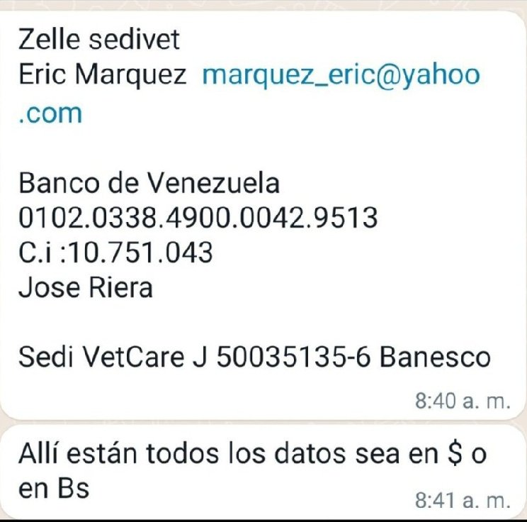 solanomarianam's tweet photo. #AyudarNosHaceBien #Maracay #AYUDA Por favor aún resta 48$ para terminar de pagar, la esterilización de #Vainilla es 1 de las 🐶rras de la manada Del club 👇 pago directo al Veterinario #Rts @f20285168 @gabykevork @jorgelcr58 @BsaSousa @geraisareyes1 @Osli2022 @chspValentina https://t.co/BliNyzgF72