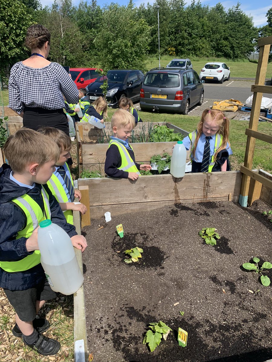 MissHolland_StN's tweet photo. A very exciting Wednesday walk to @_stcolumba today. P1 helped to water the plants in the garden and learned some interesting facts about bees 🐝  @MrsLClarkStNins https://t.co/C6tBHO8XDv