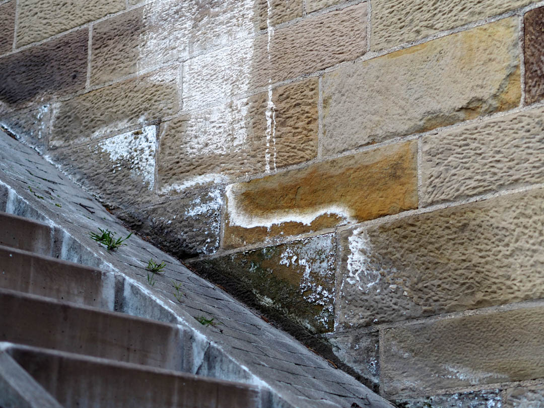 MultipletasksKY's tweet image. Follow and like us across all of our social media platforms: Facebook, Twitter, Youtube, Instagram, and Pinterest to keep up to date with Multiple Tasks Termite And Mold Control! #LouisvilleKY bit.ly/39eTGlX