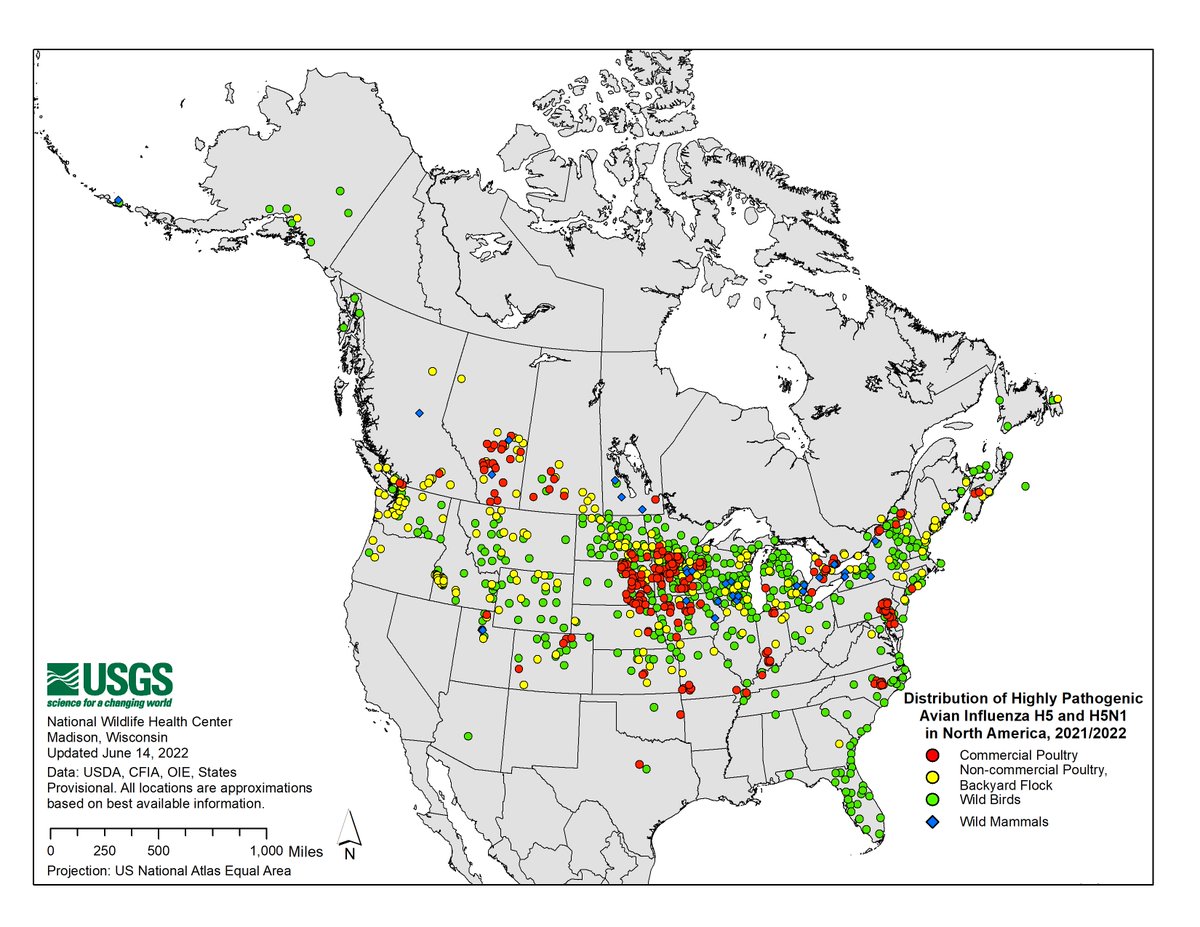 Distribution of Highly Pathogenic Avian Influenza in North America, 2021/2022. Updated June 14, 2022. ow.ly/Bjlr50JyhUT