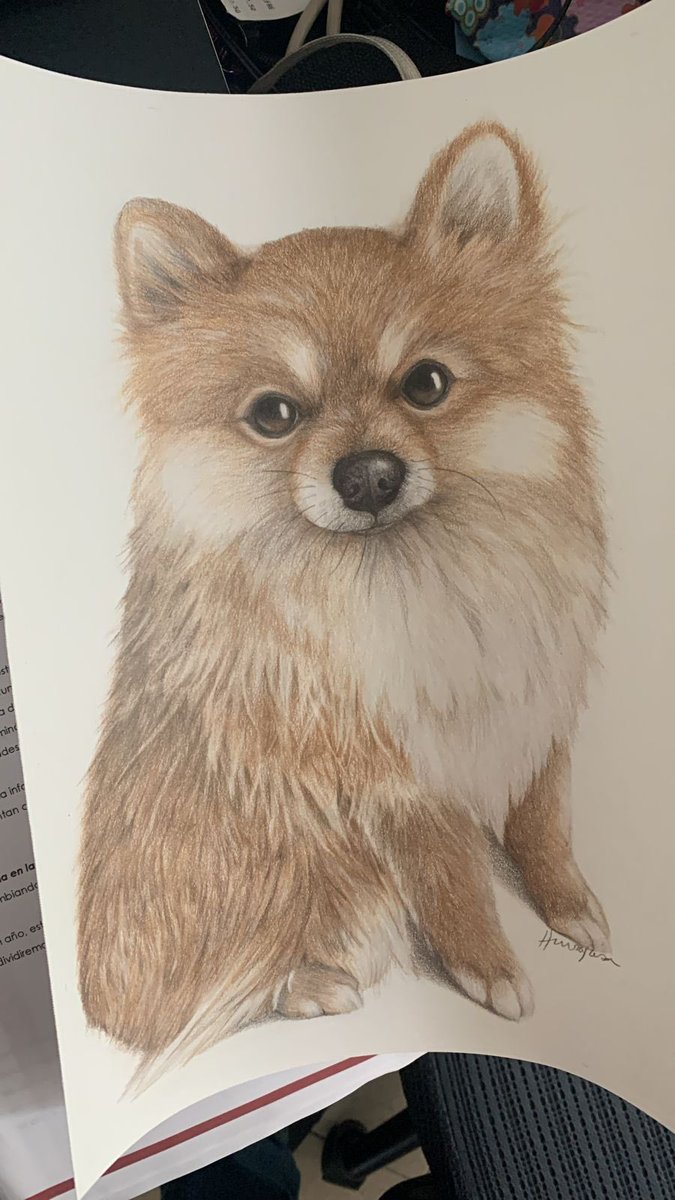 Y llegó el día de presentarle a Chewie la visión de la artista <a href="/Vivianolala/">🇺🇦🇮🇱Viviana Hinojosa 💭</a>.  Él mismo se confundió porque no sabía si celebrar o protestar por compartir espacio con otro ser.  No sabía si era espejo, foto o retrato.  Al final, decidió festejarlo.  ¡Gracias pintora/ilustradora!