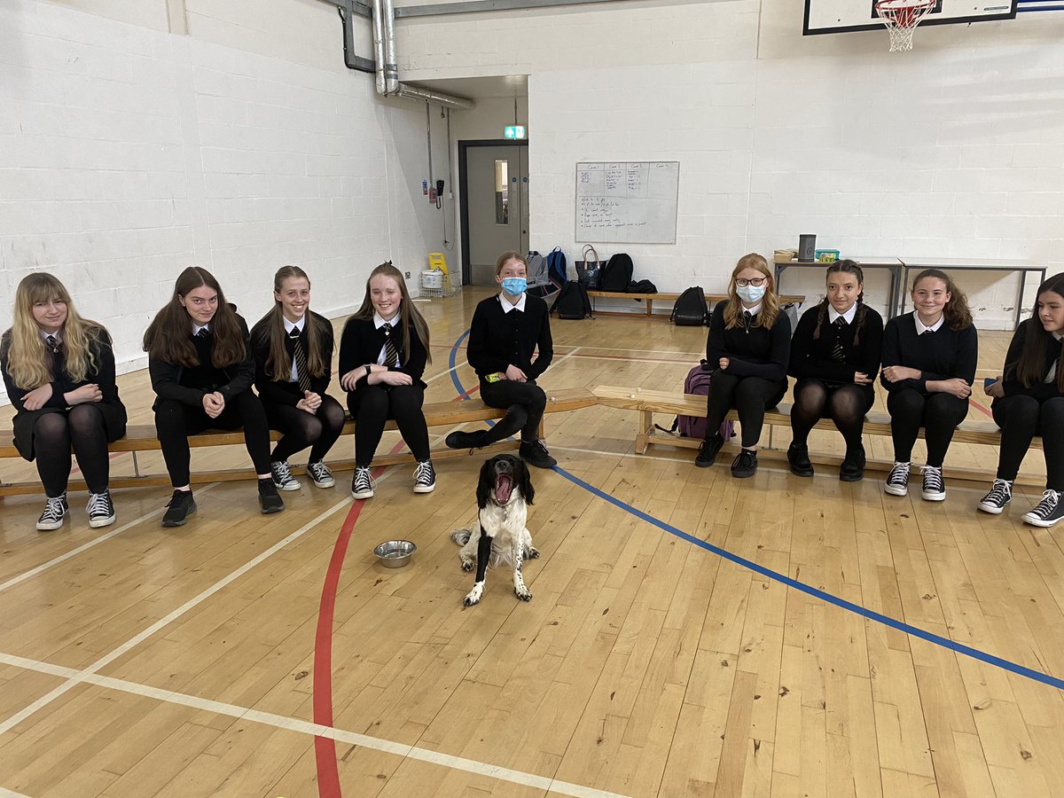 GHS_PEdept's tweet photo. We certainly enjoyed having @PEMissStewart’s dog in school today for our S4 - S6 Pet Therapy activity at lunch! 🐶☺️ #GHSWellbeingWeek @GHSfalkirk https://t.co/BwQfG0cXGl