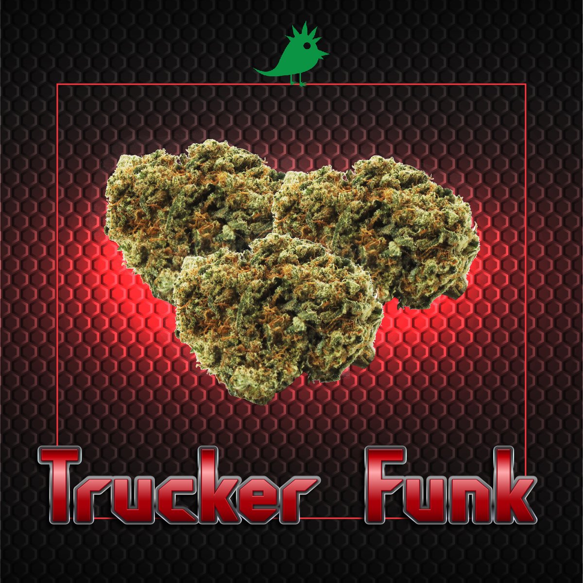 Green_Tree_Fam's tweet photo. Ask about our popular hybrid strain Trucker Funk 🚛🔥
Cross of Trainwreck X Arcata X 303 OG
🔞 https://t.co/LLSQLvSjMJ