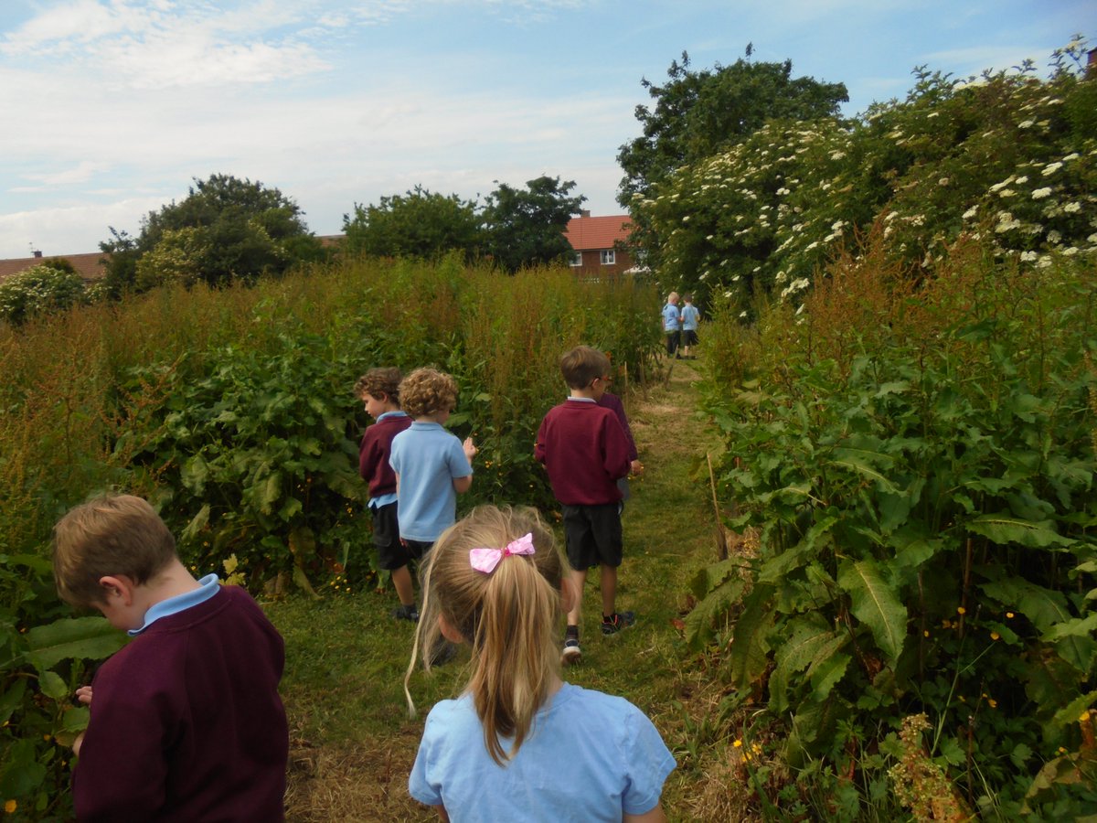 ErringtonPrimary tweet media