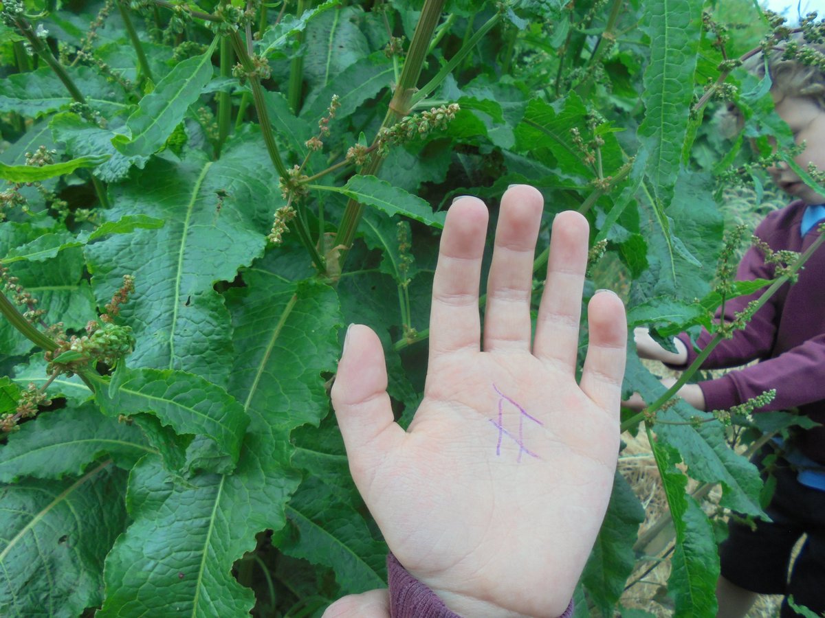 ErringtonPrimary tweet media